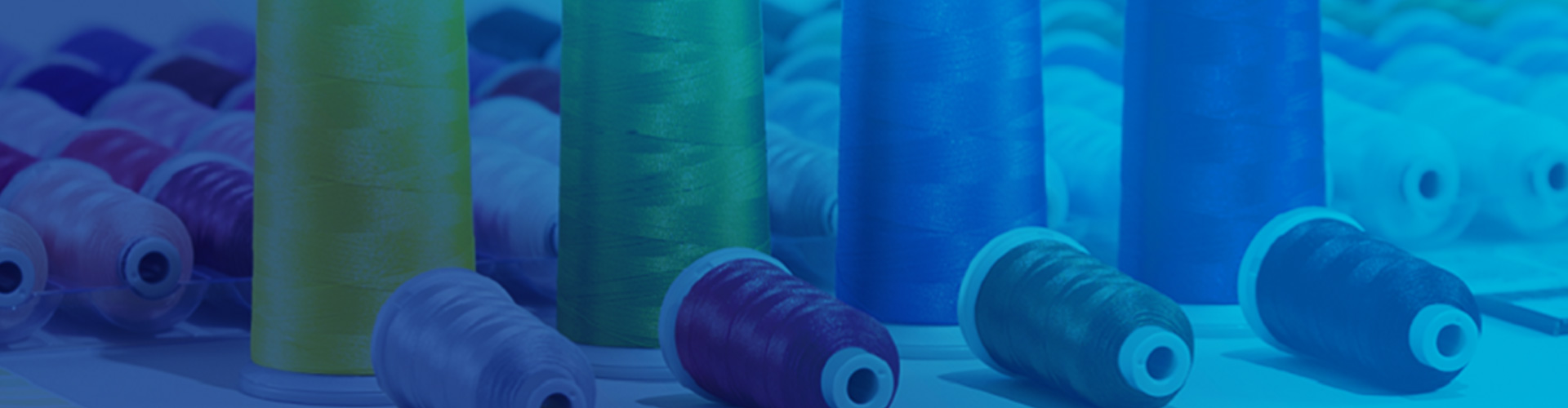 main banner